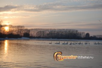 Лебединое озеро в новогодние праздники (заказник Лебединый)