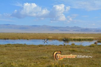 О кругосветке по Монголии глазами Светы