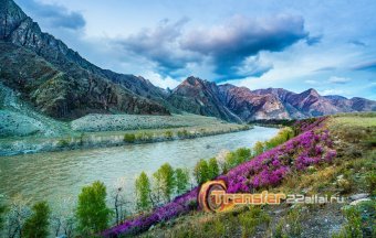 Осенние туры на Алтай